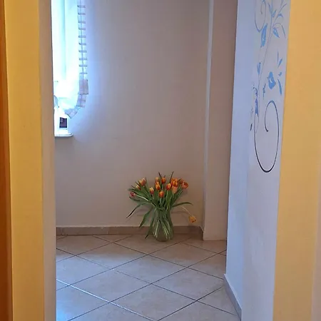 Homestay Koral Darlowko