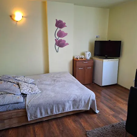 Koral Homestay *