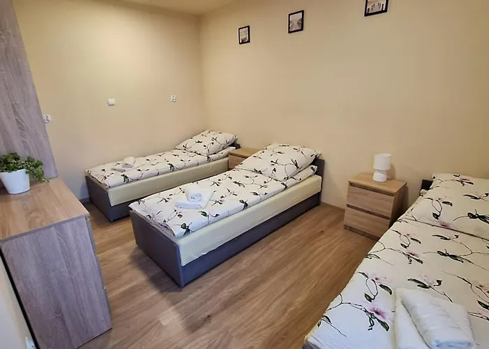 Koral Homestay szállás